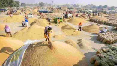 So far, 45.54 lakh metric tonnes of paddy has been purchased in Chhattisgarh, 9.93 lakh farmers have sold paddy