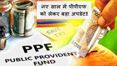 PPF; Public Provident Fund