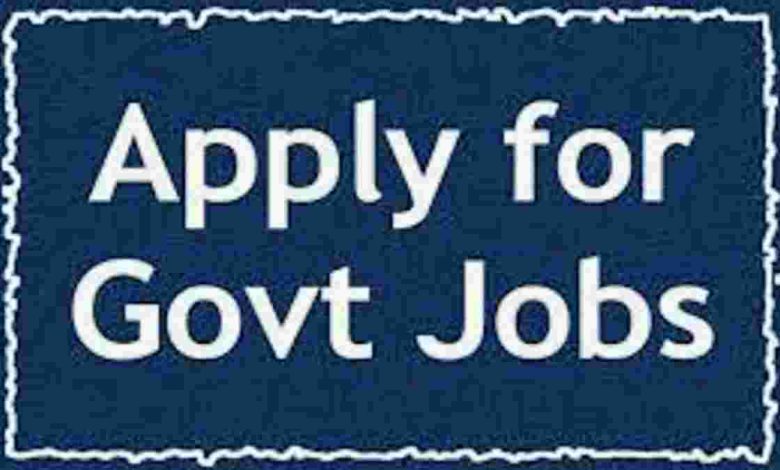 Government Job:
