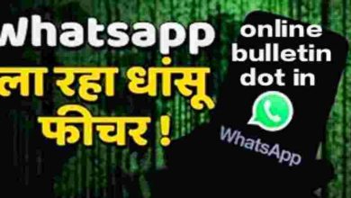 Whatsapp To Brings Audio Chat
