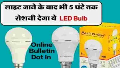 5 Cheap Inverter Bulbs