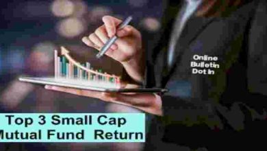 Top 3 Small Cap Mutual Fund Return