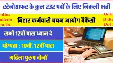 Government job recruitment for total 232 posts of Stenographer BSSC Stenographer Bharti 2023