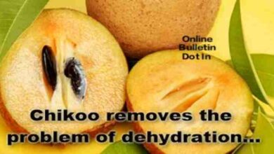Chikoo Removes The Problem of Dehydration