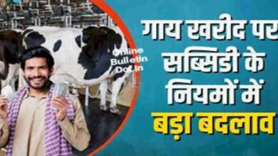Cow Purchase Subsidy