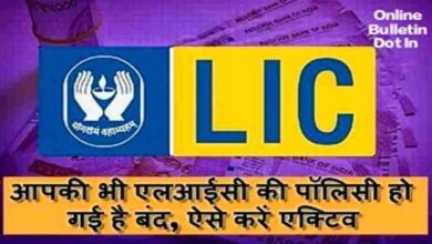 LIC Policy Revival
