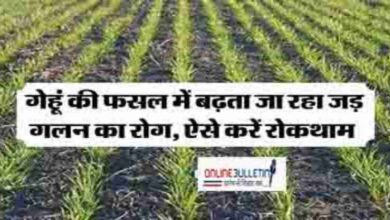 Agriculture Update