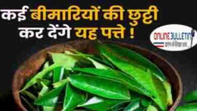 Benefits Of Curry Leaves