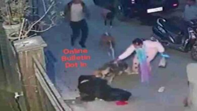 Dog Attack Viral Video