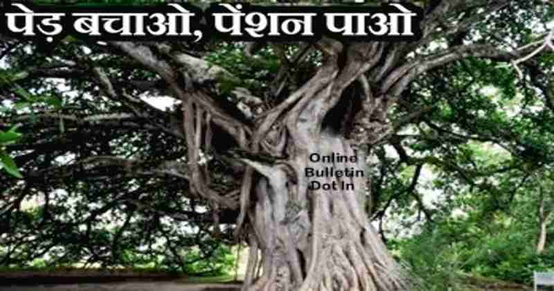 Pension Scheme for Trees