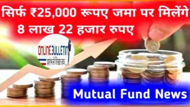 Mutual Fund 2024