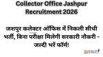 Collector Office Jashpur Recruitment 2026