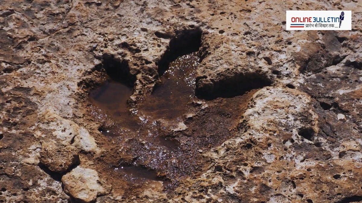 Dinosaur Footprints Texas