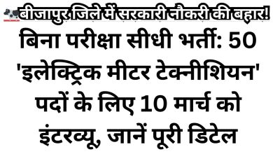 DE&SEGC Bijapur Recruitment 2026