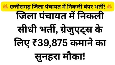 Zila Panchayat Bijapur Recruitment 2026