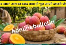 Gulab Khas Mango