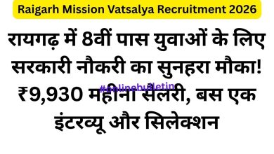 Raigarh Mission Vatsalya Recruitment 2026