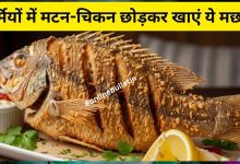 Summer Fish Diet