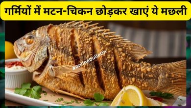 Summer Fish Diet