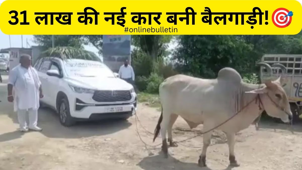 Moga Car RC Protest